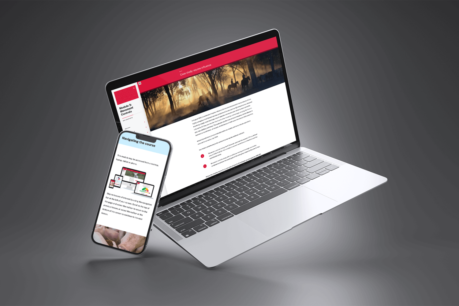 Module 3 - Hero - HM